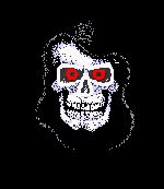 Bob the Pirate